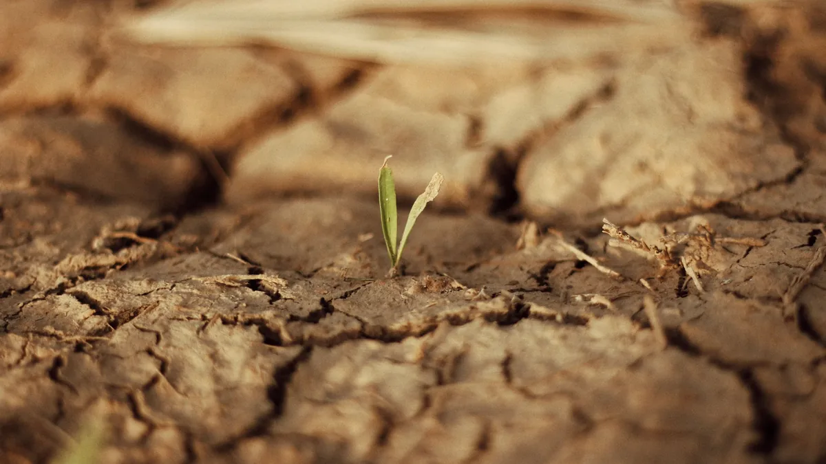 Growing Apart